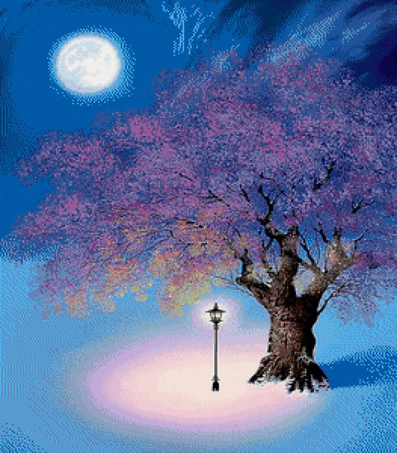 Ночная сакура - сакура, ночь, фонарь, луна - предпросмотр