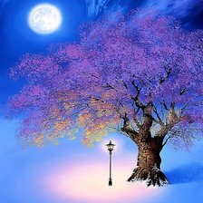 Схема вышивки «Ночная сакура»