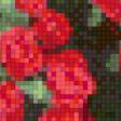 Предпросмотр схемы вышивки «Розы» (№601038)