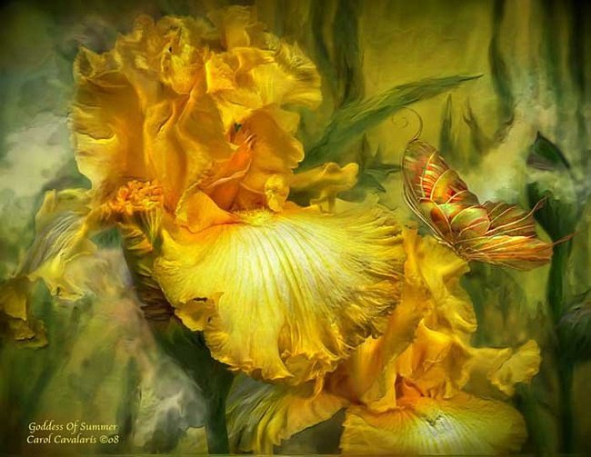 Carol Cavalaris - природа, цветы, волшебство - оригинал