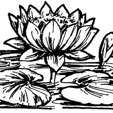 Схема вышивки «Кувшинка»