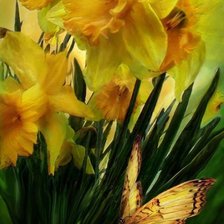 Схема вышивки «Carol Cavalaris»