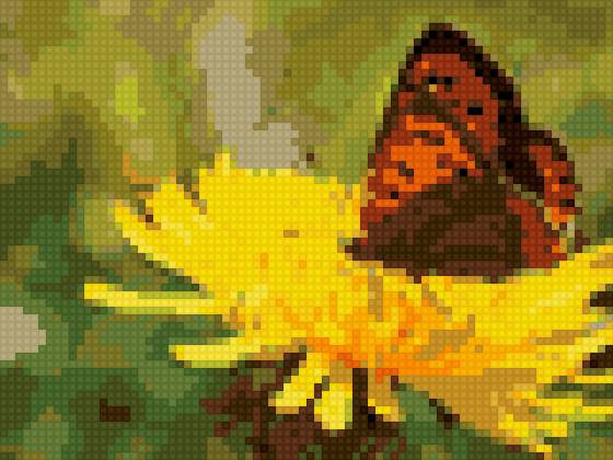 одуванчик - предпросмотр