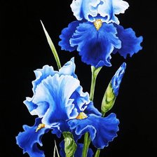 Схема вышивки «ирис»