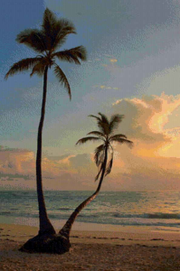 Пальмы - пейзаж, растения, море, пальмы, океан, берег, вода - предпросмотр