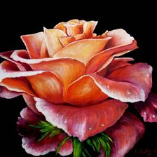 Схема вышивки «роза»