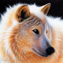 Схема вышивки «волк»