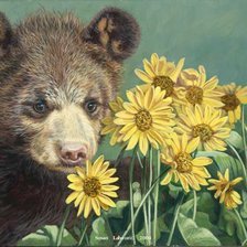 Схема вышивки «медвежонок»