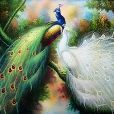 Схема вышивки «Павлины»