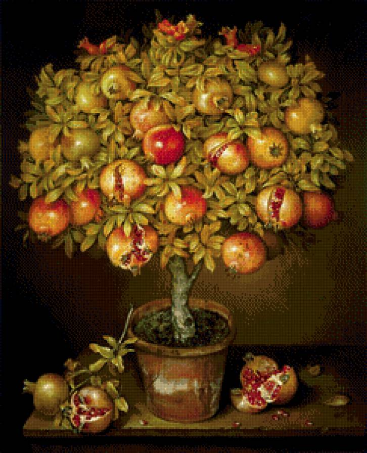 дерево граната - картина - предпросмотр