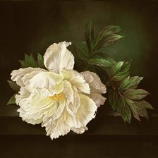 Схема вышивки «цветок»