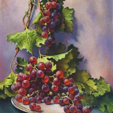 Схема вышивки «виноград»