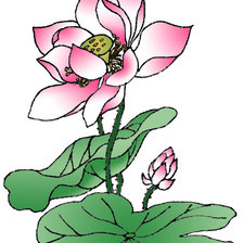 Схема вышивки «Лотос»