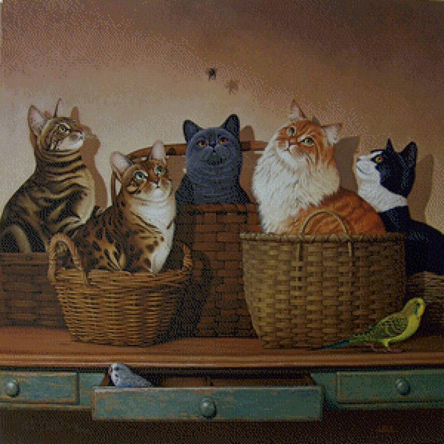 Каждому по корзинке - приколы, коты, попугаи, птицы, животные, юмор - предпросмотр