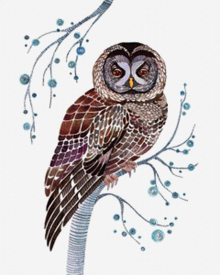 Совушка - сова, птицы - предпросмотр