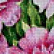 Предпросмотр схемы вышивки «Пионы» (№601213)