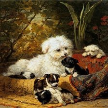 маленькая мамочка