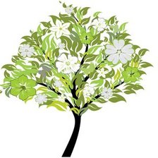 Схема вышивки «derevo»