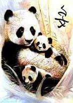 иероглиф спокойствие - иероглиф, спокойствие, панды - оригинал