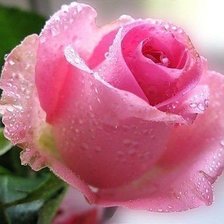 Схема вышивки «№601348»