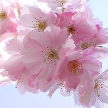 Схема вышивки «№601352»