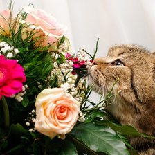 Схема вышивки «Аромат цветов»