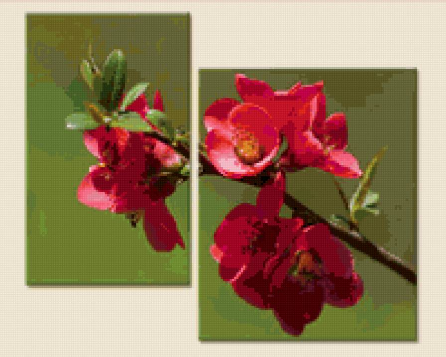 цвет - цветы, триптих, цвет - предпросмотр