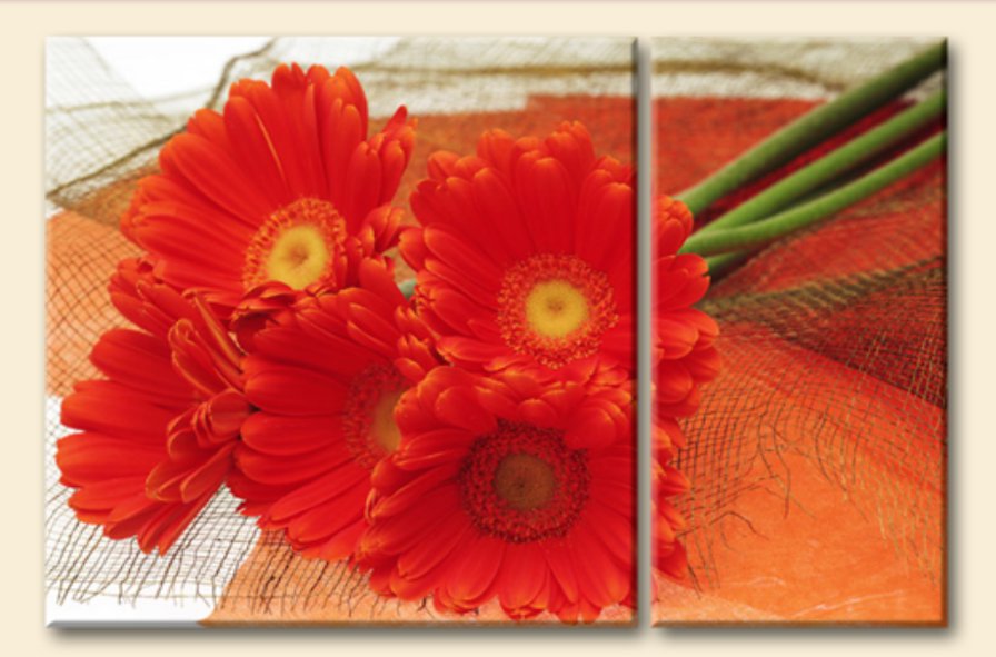 герберы - букет, триптих, цветы - оригинал