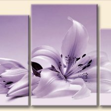 Схема вышивки «лилия»