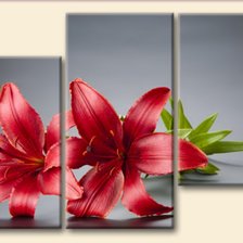 Схема вышивки «~2»