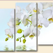 Схема вышивки «ветка цветов»