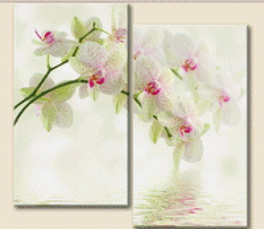 цвет - цвет, цветы, триптих - предпросмотр