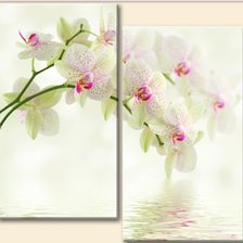 Схема вышивки «цвет»