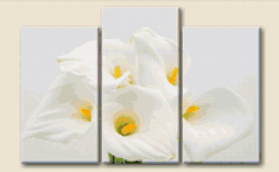 каллы - букет, триптих, цветы - предпросмотр