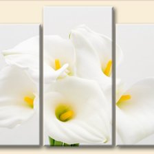 Схема вышивки «каллы»