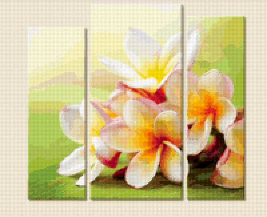 красочный букетик - цветы, триптих, букет - предпросмотр