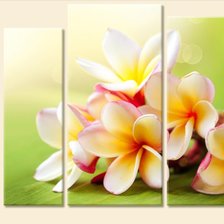 красочный букетик