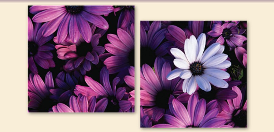 цветочки - цветы, букет, триптих - оригинал