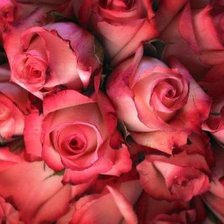 Схема вышивки «№601451»