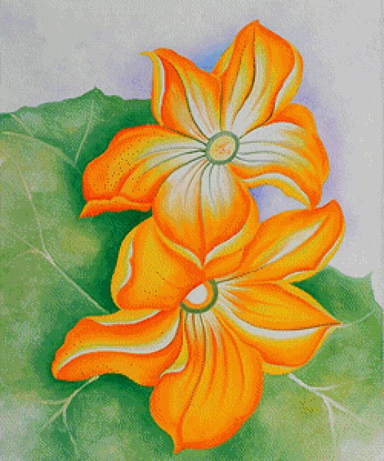 Настурция - цветы, настурция, живопись, джорджия о'киффи - предпросмотр