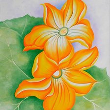 Схема вышивки «Настурция»