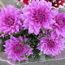 Схема вышивки «№601455»