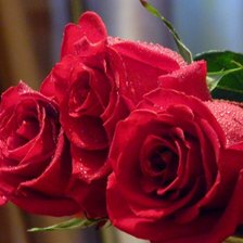 Схема вышивки «№601462»