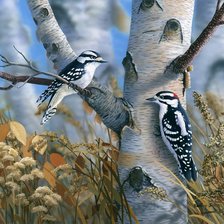 птички на берёзе