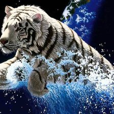 Схема вышивки «Тигр»