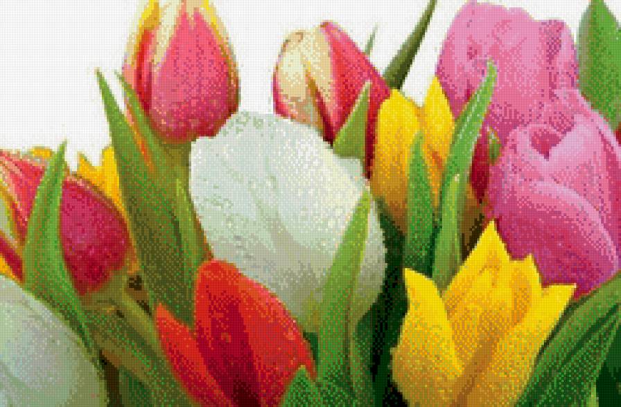 тюльпанчики - букет, ваза, цветы - предпросмотр