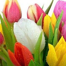 Схема вышивки «тюльпанчики»