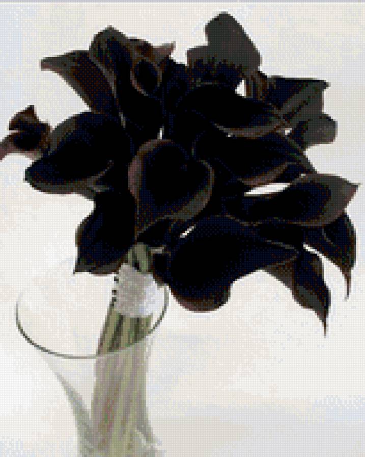 черные каллы - цветы, цвет, букет - предпросмотр