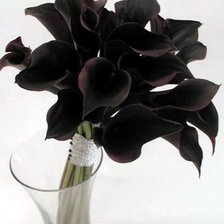 Схема вышивки «черные каллы»