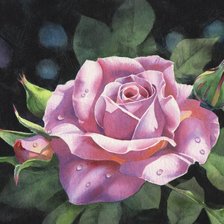 Схема вышивки «Роза»